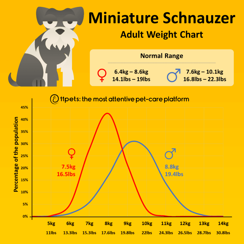 Miniature Schnauzer Adult Weight Chart